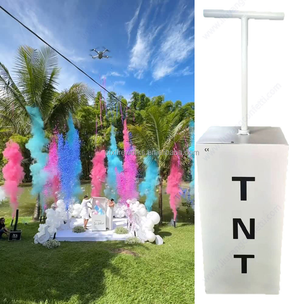 電動ジェンダーリビールスモークブラスターTNTスタートリモコ - Confetti Cannon Tube のレビューと価格